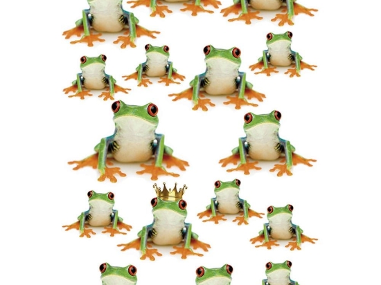 Διακοσμητικά Αυτοκόλλητα Frogs 1909 23x34cm Green Kleine Wolke Πλαστικό