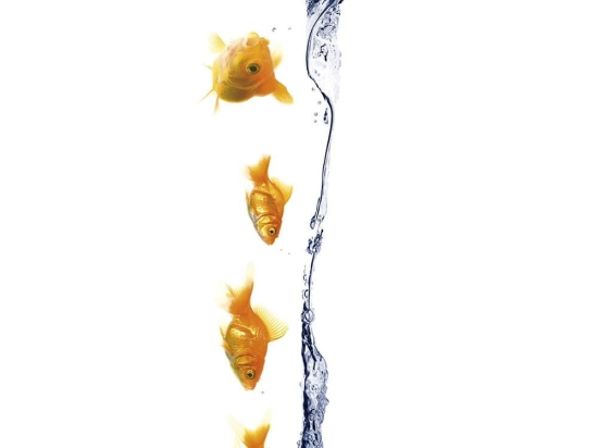 Διακοσμητικά Αυτοκόλλητα Underwater 1904 23x68cm Muticolor Kleine Wolke Πλαστικό