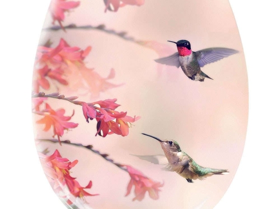 Καπάκι Λεκάνης Kolibri 1858 37x45cm Multicolor Kleine Wolke Πλαστικό