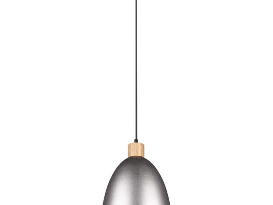 Φωτιστικό Οροφής Jagger R30681067 1xE27 40W Φ25cm 150cm Nickel Antique RL Lighting Μέταλλο