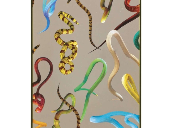 Καθρέπτης Τοίχου 17114 Snakes Multi Seletti Πλαστικό, Γυαλί
