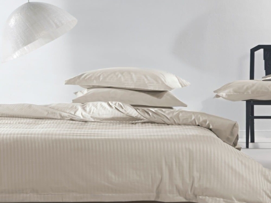 Μαξιλαροθήκες Regina 26 (Σετ 2τμχ) Beige Kentia 50Χ70 100% Βαμβακοσατέν