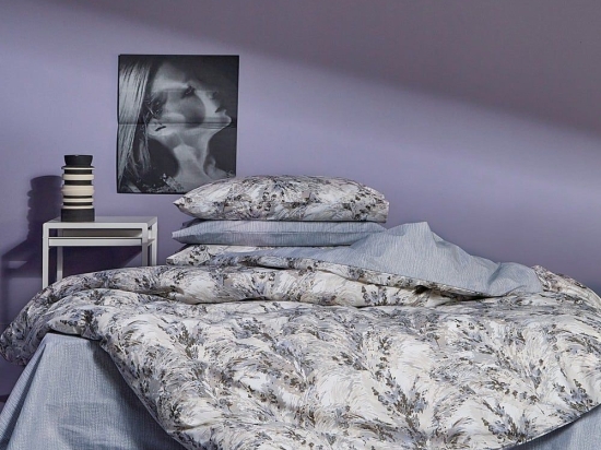 Σεντόνια Pampas 23 (Σετ 4τμχ) Blue Grey-Ecru Kentia King Size 270x270cm 100% Βαμβάκι