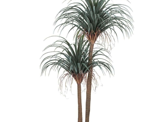 Τεχνητό Δέντρο Pandanus Tree 20049 Φ70x160cm Multi Globostar Πολυαιθυλένιο