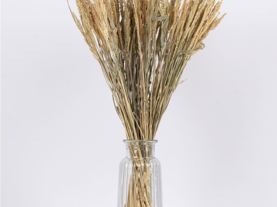 Μπουκέτο Αποξηραμένο Ericagrass 36504 60cm (Ακαθόριστος Αριθμός Τμχ) Beige-Green Globostar