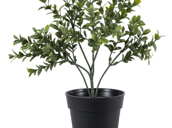 Τεχνητό Φυτό Buxus 20388 30cm Green Globostar Πολυαιθυλένιο