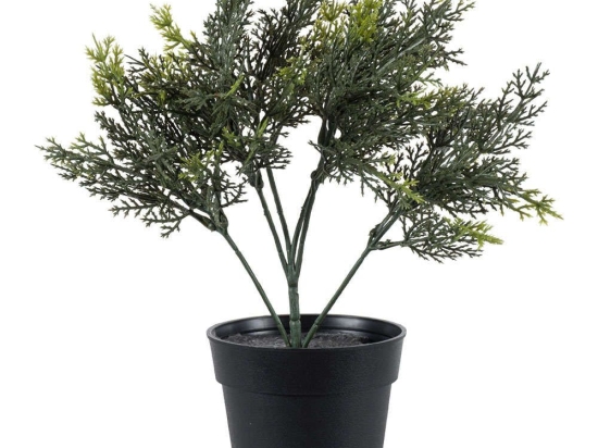 Τεχνητό Φυτό Lemon Cypress 20389 30cm Green Globostar Πολυαιθυλένιο