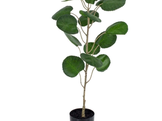 Τεχνητό Φυτό Polyscias Balfouriana 20373 70cm Green Globostar Πολυαιθυλένιο,Ύφασμα