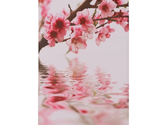 ΠΙΝΑΚΑΣ ΚΑΜΒΑΣ FLOWERS HM7155.07 120X70X2.5 εκ.