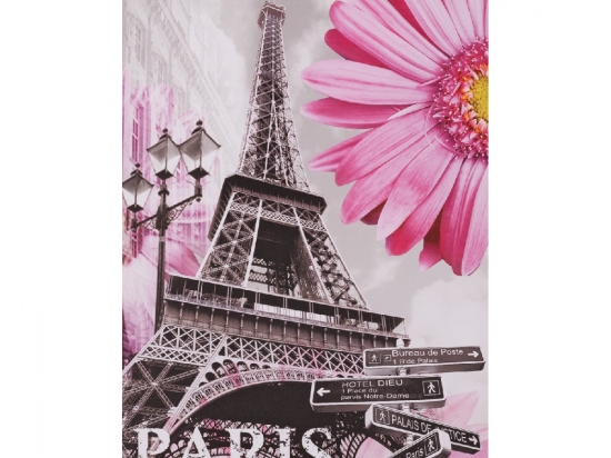ΠΙΝΑΚΑΣ ΚΑΜΒΑΣ PARIS HM7154.04 60X90X2.5 εκ.