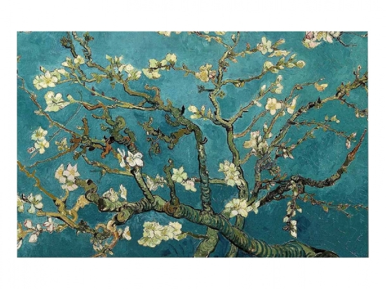 ΠΙΝΑΚΑΣ ΤΥΠΟΥ ALMOND TREE HM7193.03 70X45X3 εκ.