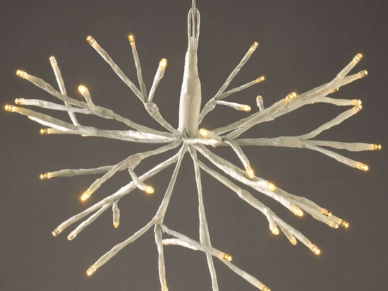 Χριστουγεννιάτικα Λαμπάκια Branch Lights 48 Led XPBALWW302A Φ20+30cm 0,96W Με Μπαταρίες White Aca