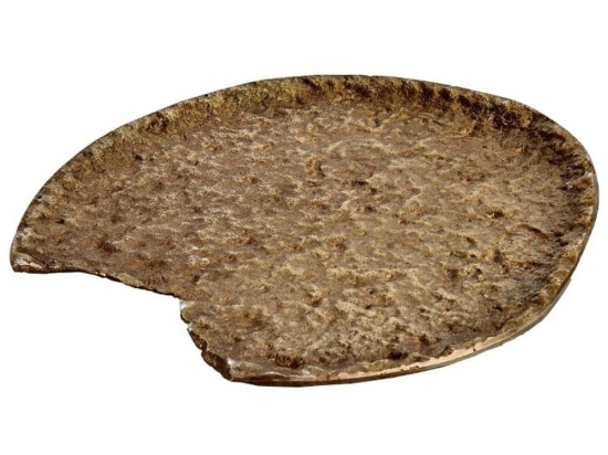 Διακοσμητικός Δίσκος Forleyet 427024 20x18x1cm Gold Eglo Αλουμίνιο