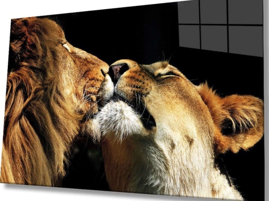 Πίνακας Γυάλινος 221JRS1459 90x60cm Multi Wallity Οριζόντιοι Γυαλί