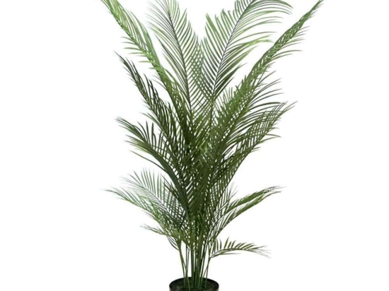 Τεχνητό Δέντρο Κέντια 04-00-22071 150cm Green Marhome Συνθετικό Υλικό