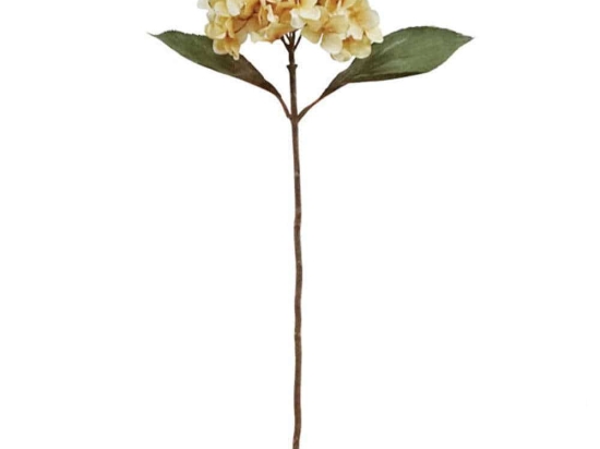 Λουλούδι - Κλαδί Ορτανσία 99-00-17908 65cm Beige Marhome