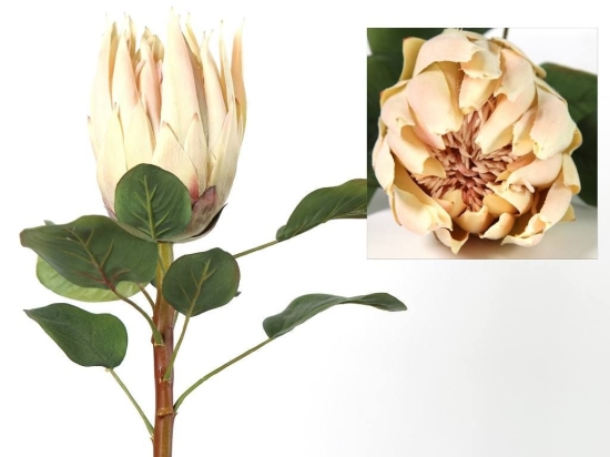 Λουλούδι Protea 06-0533 68Ycm Creme-Pink Πλαστικό