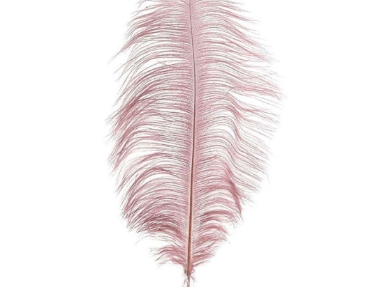 Φτερό Διακοσμητικό 3-70-355-0020 40/70cm Pink Inart Πολυέστερ
