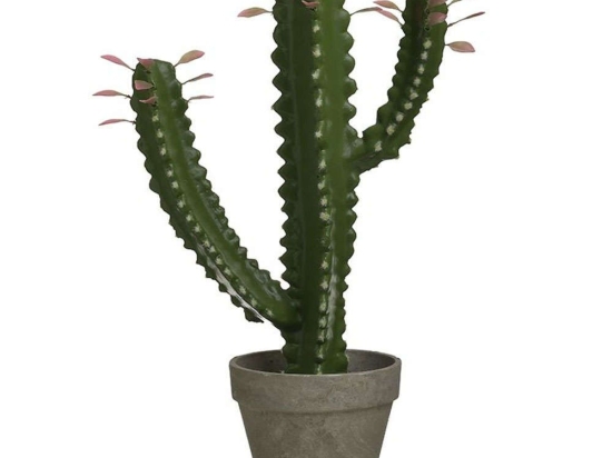 Διακοσμητικός Κάκτος Σε Γλάστρα 3-85-311-0016 Pl Green 28x15x46cm Inart Πλαστικό