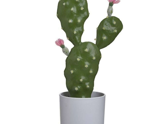 Διακοσμητικός Κάκτος Σε Γλάστρα 3-85-311-0014 Pl Green-Pink 16x10x33cm Inart Πλαστικό