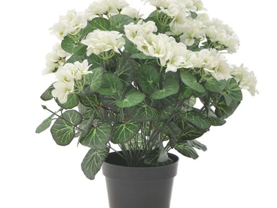 Διακοσμητικό Φυτό Σε Γλάστρα Pl 3-85-457-0013 Υ48cm White-Green Inart Πλαστικό