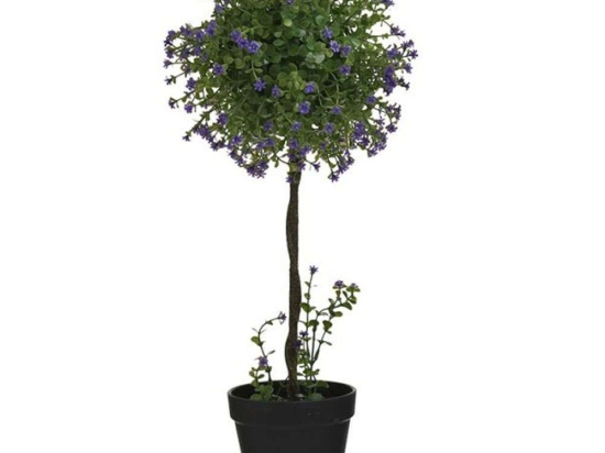 Διακοσμητικό Φυτό Σε Γλάστρα Pl 3-85-311-0019 Φ19x55cm Purple-Green Inart Πλαστικό