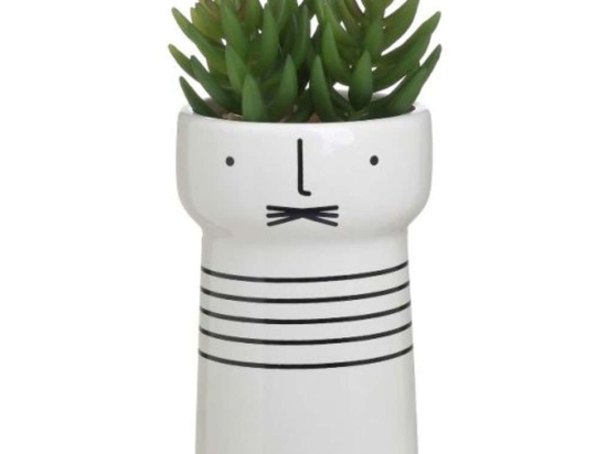 Διακοσμητικό Φυτό Σε Γλάστρα 3-85-475-0264 Φ8x17cm Green-White Inart Πλαστικό