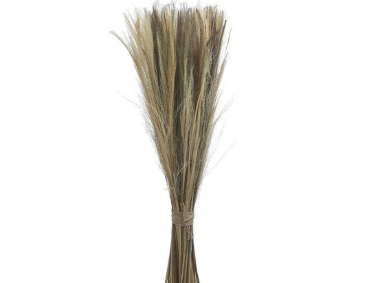 Μπουκέτο Αποξηραμένα Κλαδιά 3-85-483-0003 100cm Natural Inart