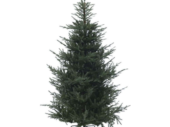 Χριστουγεννιάτικο Δέντρο 2-85-613-0005 210cm (2640Tips) Green Inart