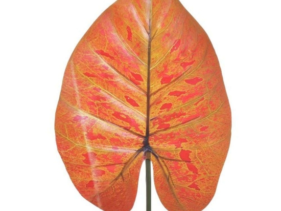 Διακοσμητικό Κλαδί Φύλλο 3-85-700-0073 137cm Beige-Bordo Inart