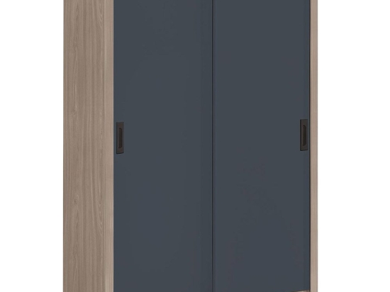Ντουλάπα Δίφυλλη - Συρόμενη Vanity Ε7354,1 120x60x200cm Anthracite-Walnut Δίφυλλη