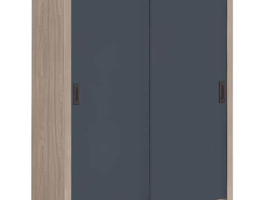 Ντουλάπα Δίφυλλη - Συρόμενη Vanity Ε7355,1 160x60x200cm Anthracite-Walnut Δίφυλλη