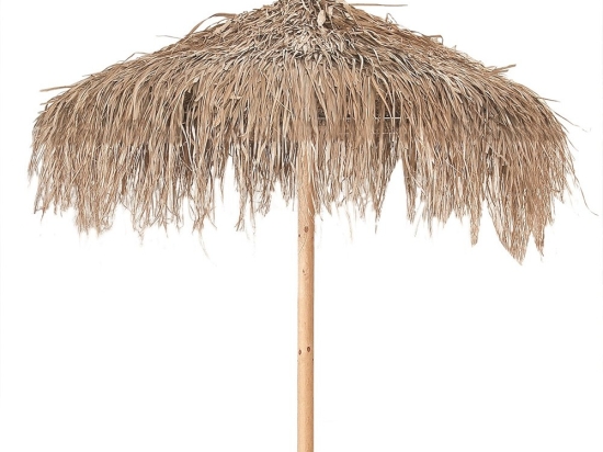 Ομπρέλα Φοινικόφυλλο Fun Palm 01-00-341 Φ2x3m Natural