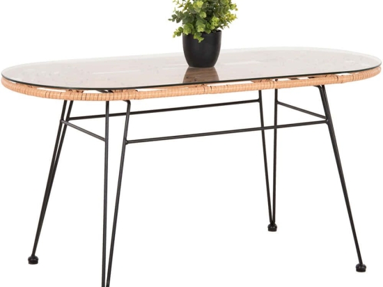 Τραπέζι Κήπου Χαμηλό Allegra HM5695.11 100x45x51,5cm Beige