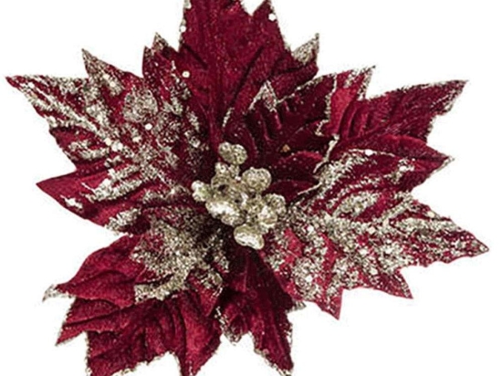 Λουλούδι Αλεξανδρινός Σε Μανταλάκι 07.184399 23cm Red-Gold