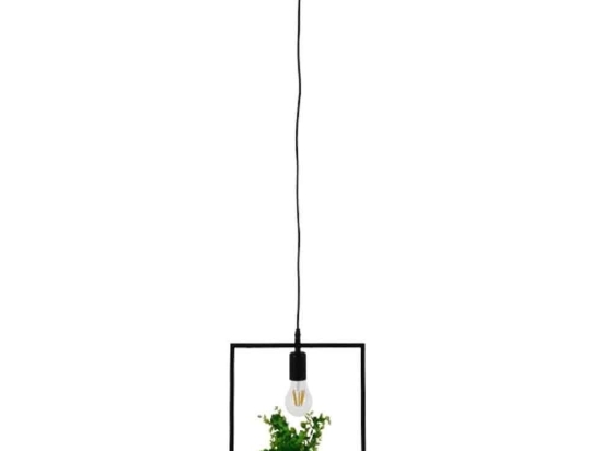 Φωτιστικό Οροφής Flowerpot 10001211 1xΕ27 Με Διακοσμητικό Φυτό 30x30cm Black GloboStar