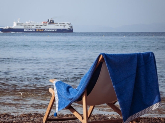 Πετσέτα Θαλάσσης Palm Beach Blue White Fabric Θαλάσσης 80x160cm 100% Βαμβάκι