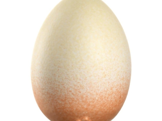 Διακοσμητικό Αυγό Luminosa 029936L 10cm Beige-Orange Leonardo