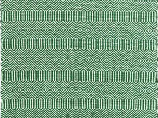 Χαλί Sloan Green Asiatic London 200X300cm