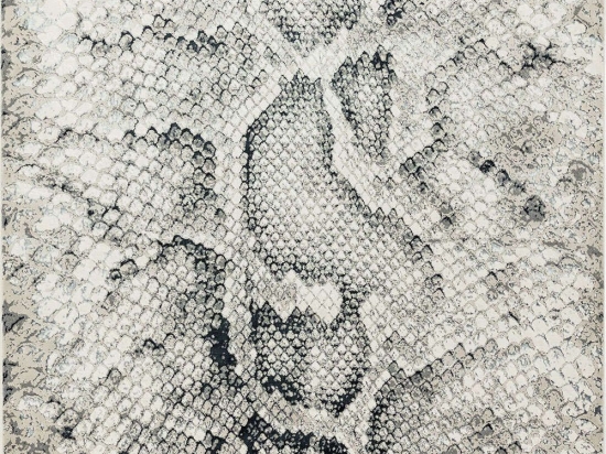 Χαλί Quantum QU03 Snake Asiatic London 160X230cm