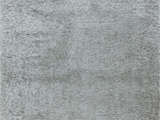 Χαλί Payton Silver Asiatic London 80X150cm