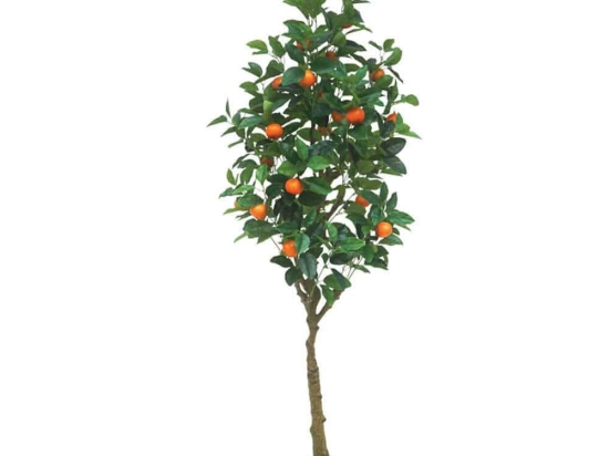 Τεχνητό Δέντρο Πορτοκαλιά 04-00-24177 180cm Multi Marhome Πλαστικό
