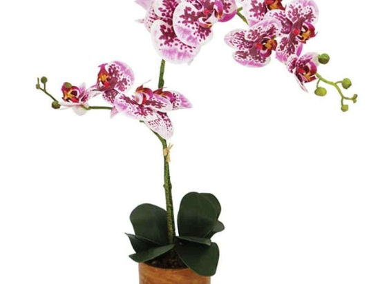 Τεχνητό Φυτό Σε Κασπώ Ορχιδέα 04-00-21028-2 63cm White-Pink Marhome Κεραμικό