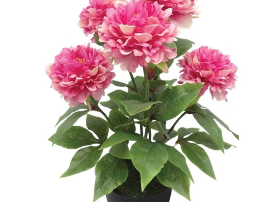 Τεχνητό Φυτό Παιώνια Σε Κασπώ 04-00-24185-1 48cm Multi-Fuchsia Marhome Πλαστικό