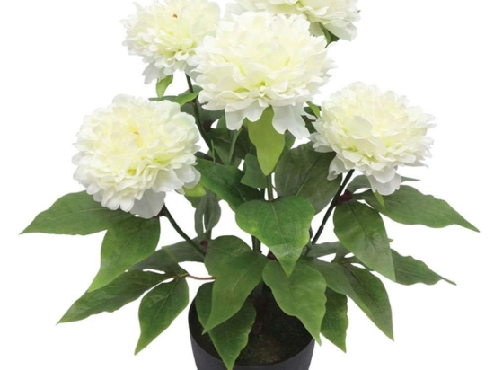Τεχνητό Φυτό Παιώνια Σε Κασπώ 04-00-24185-2 48cm Multi-Ecru Marhome Πλαστικό