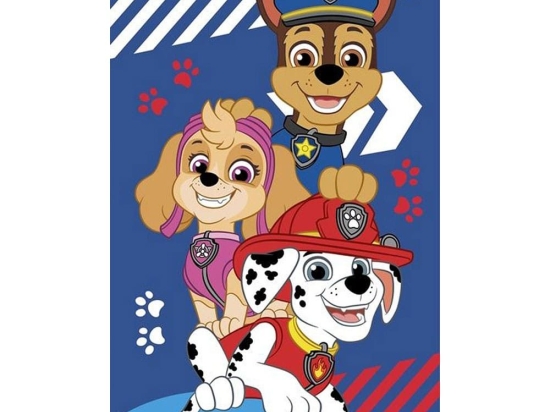 Πετσέτα Βρεφική Paw Patrol 40 Multi Viopros Λαβέτα 30x50cm 100% Βαμβάκι