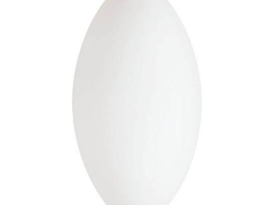 Φωτιστικό Τοίχου-Απλίκα Bianca 4161000 White Viokef Γυαλί