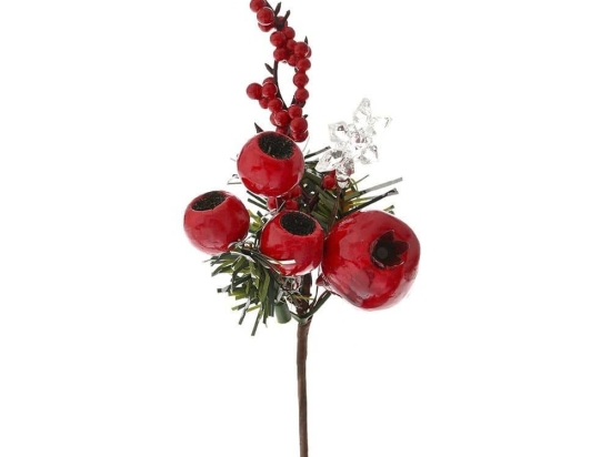 Κλαδί Πικ Ρόδια 79722 23cm Red