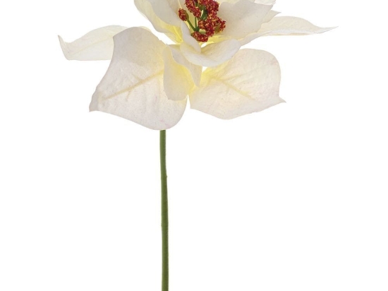 Λουλούδι - Κλαδί Αλεξανδρινό 81449 33cm White