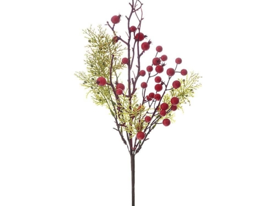 Κλαδί Πικ Με Ρόδια & Berries 82917 65cm Green-Red